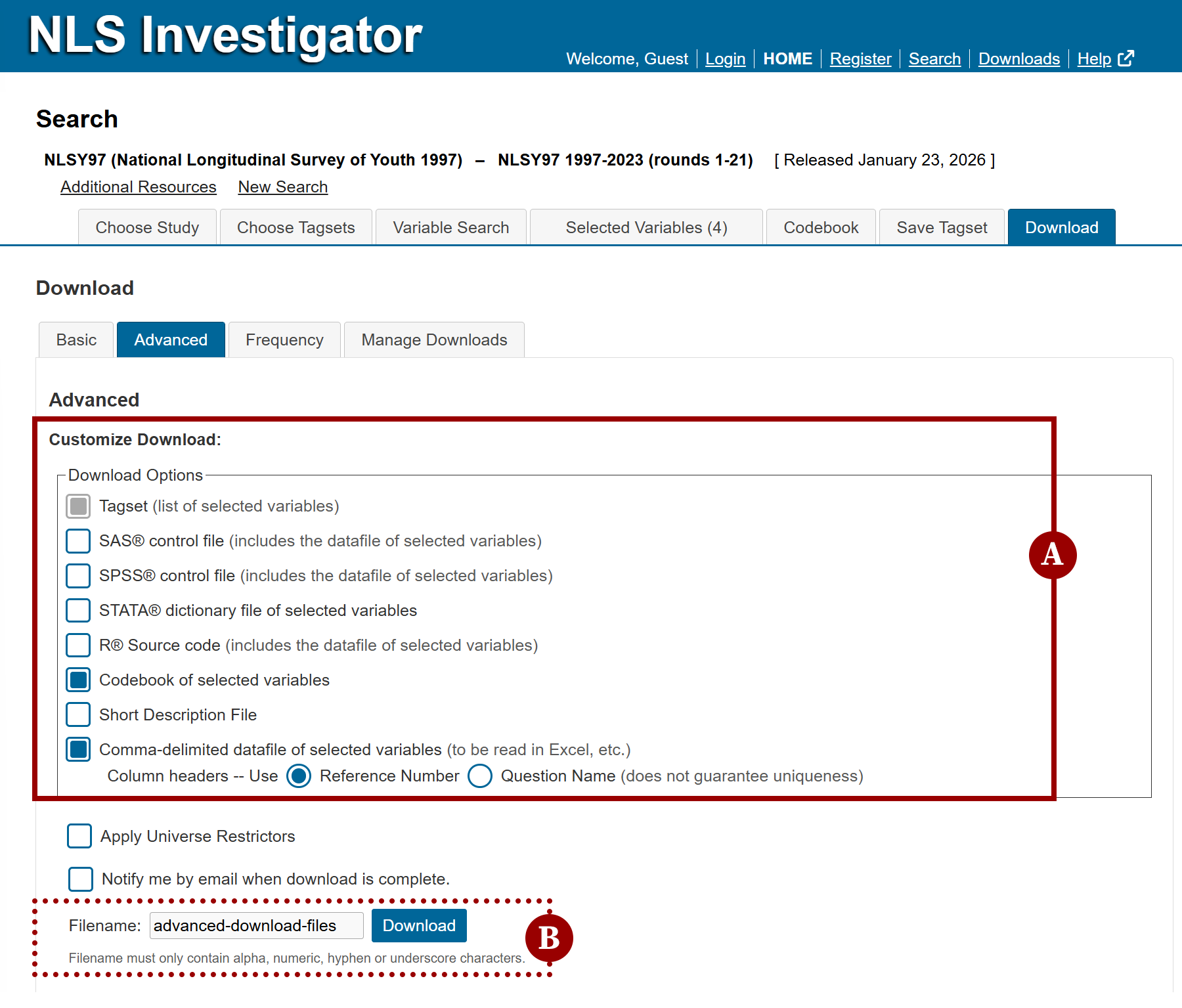 Advanced download sub-tab with highlighted check list of file formats to customize the file extraction
