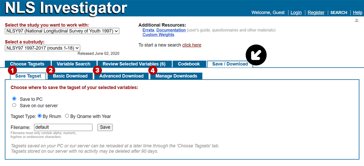 diagram of save/download tab