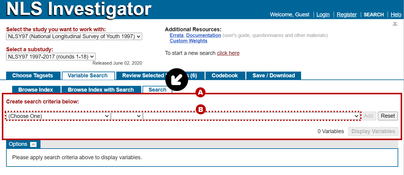 variable search tab with search criterion area highlighted